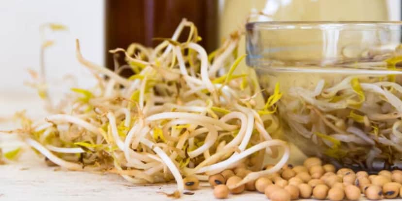 Vinagre e soja são dois produtos comuns na cozinha (Reprodução: Internet) Vinagre e soja são dois produtos comuns na cozinha (Reprodução: Internet)