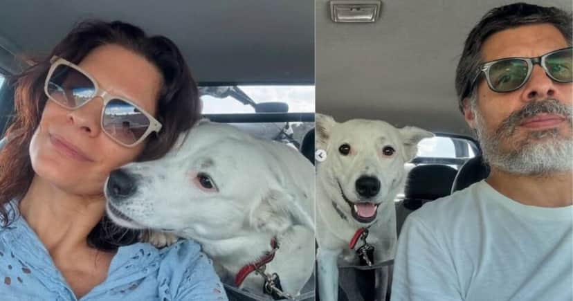 Cliques de Helena Ranaldi, Daniel Alvim e a cachorra Sofia (Foto Reprodução/Montagem/TV Foco/Instagram@helenaranaldi) Cliques de Helena Ranaldi, Daniel Alvim e a cachorra Sofia (Foto Reprodução/Montagem/TV Foco/Instagram@helenaranaldi)