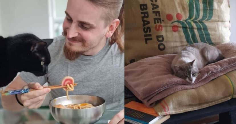 Cliques de Lucas Hornos com seus gatos (Foto: Reprodução/Montagem/Instagram@ Lucas. Hornos) Cliques de Lucas Hornos com seus gatos (Foto: Reprodução/Montagem/Instagram@ Lucas. Hornos)