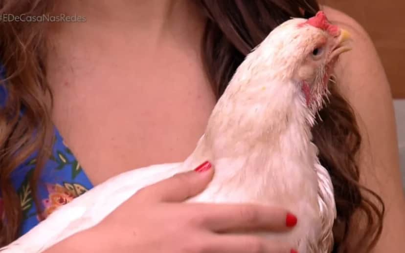 Maria Beltrão com galinha no É de Casa (Foto: Reprodução/ Internet) Maria Beltrão com galinha no É de Casa (Foto: Reprodução/ Internet)