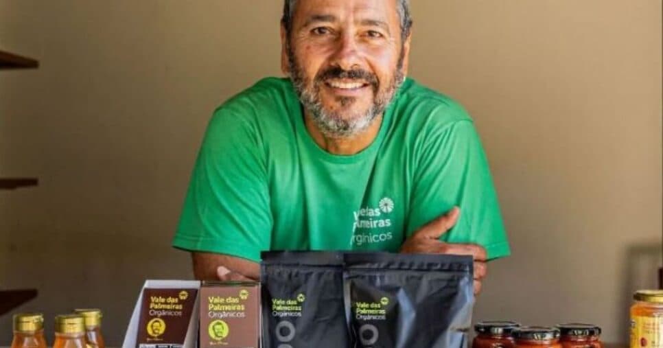 Marcos Palmeira produz uma variedade de produtos orgânicos (Foto Reprodução/Montagem/Instagram/@valedaspalmeirasorganicos) Marcos Palmeira produz uma variedade de produtos orgânicos (Foto Reprodução/Montagem/Instagram/@valedaspalmeirasorganicos)