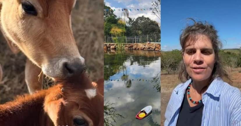 Cliques de Mariana em sua propriedade rural e vivendo em meio à natureza (Foto Reprodução/Montagem/Instagram Cliques de Mariana em sua propriedade rural e vivendo em meio à natureza (Foto Reprodução/Montagem/Instagram