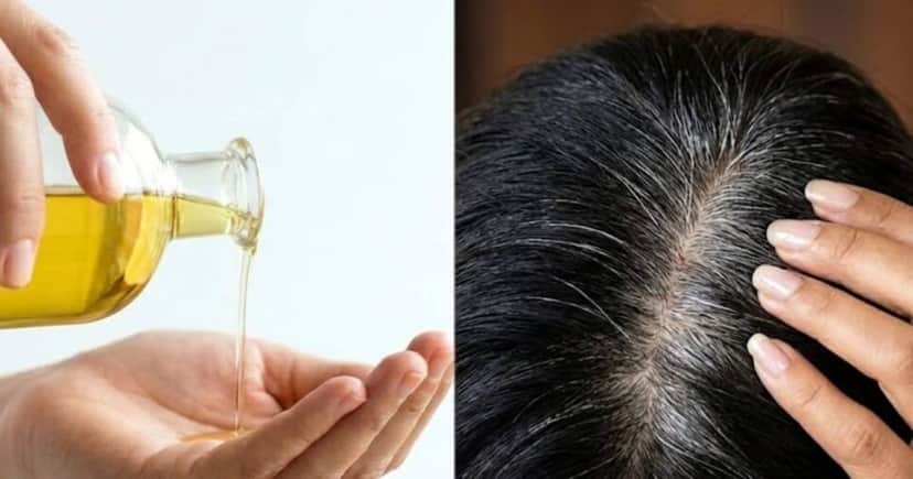 Ilustração óleo natural para cabelo branco Ilustração óleo natural para cabelo branco