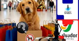 Cachorros proibidos no Salvador, Barra e mais? Veja regra em vigor nos shoppings em 2025