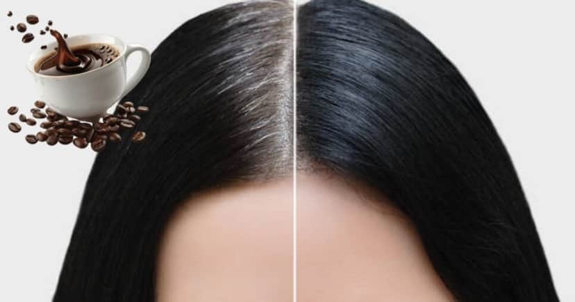 Receitas para eliminar o grisalho sem precisar de tinta (Foto Reprodução/Montagem/TV Foco/Canva/Paola) Receitas para eliminar o grisalho sem precisar de tinta (Foto Reprodução/Montagem/TV Foco/Canva/Paola)