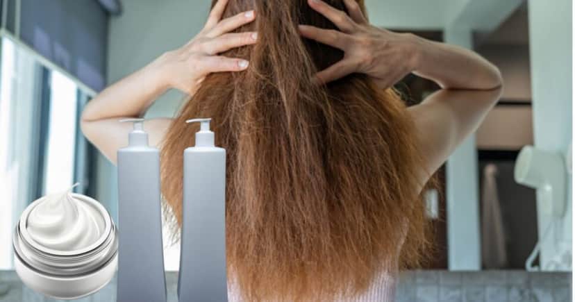Sem frizz (Foto Reprodução/Montagem/TV Foco/Canva/Paola) Sem frizz (Foto Reprodução/Montagem/TV Foco/Canva/Paola)