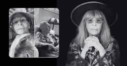Apresentador revela últimos momentos de Rita Lee e o que fez: “Foi brava”