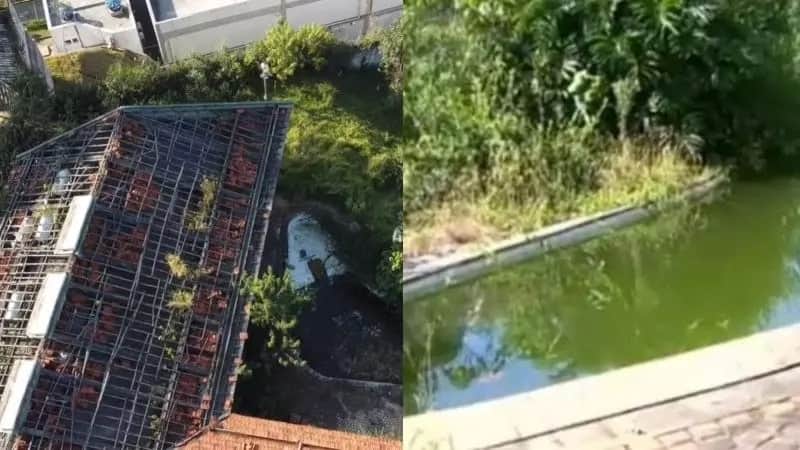 Rainha da TV brasileira teve mansão de quase R$9M demolida em SP - Foto Internet Rainha da TV brasileira teve mansão de quase R$9M demolida em SP - Foto Internet