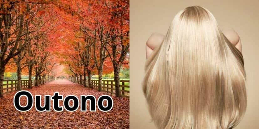 5 cores de cabelo para rejuvenescer no outono (Reprodução: Montagem TV Foco) 5 cores de cabelo para rejuvenescer no outono (Reprodução: Montagem TV Foco)