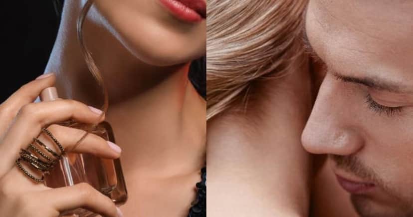 Perfumes nacionais perfeitos para usar em um date (Foto: Reprodução/Internet) Perfumes nacionais perfeitos para usar em um date (Foto: Reprodução/Internet)