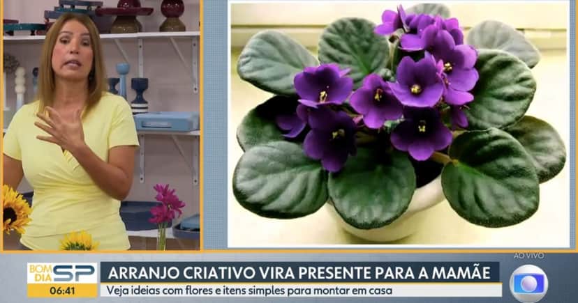 Ananda Apple e vaso de violetas (Foto: Reprodução / Globo) Ananda Apple e vaso de violetas (Foto: Reprodução / Globo)