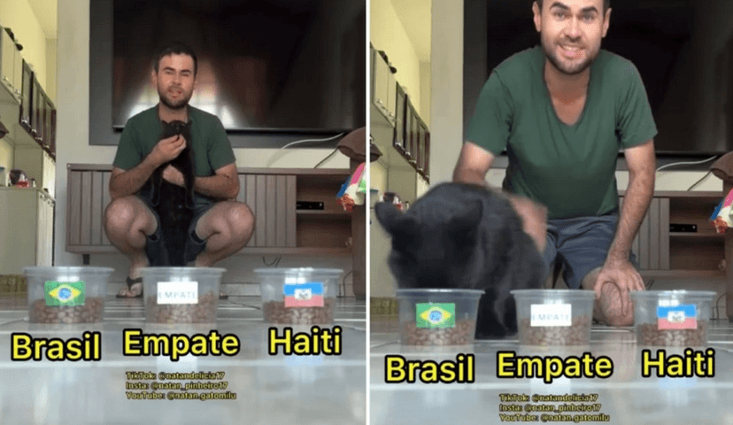 'Vidente' Milu e seu tutor Natan Pinheiro (Foto: Reprodução / Instagram) 'Vidente' Milu e seu tutor Natan Pinheiro (Foto: Reprodução / Instagram)