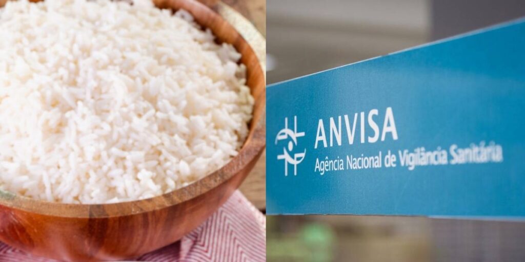 A descoberta nojenta da ANVISA em marca de arroz - Montagem: TVFOCO
