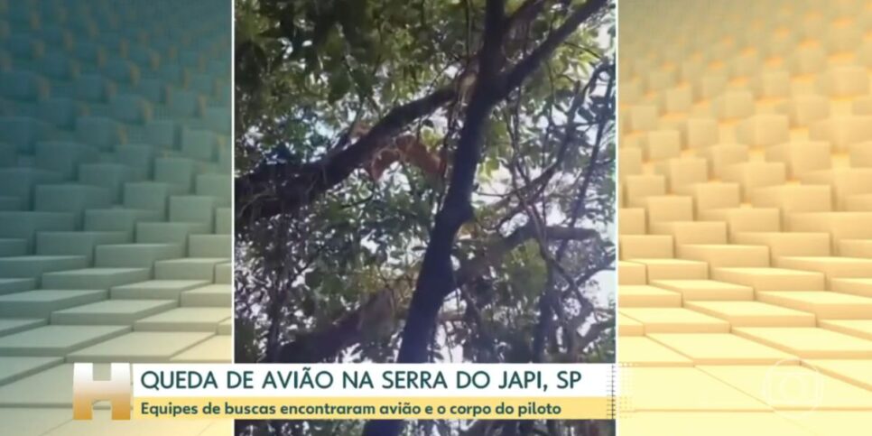 Destroço de avião em árvore (Foto: Reprodução / Globo)